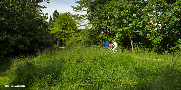 La Vloscnie, la coule verte dans les Hauts-de-Seine